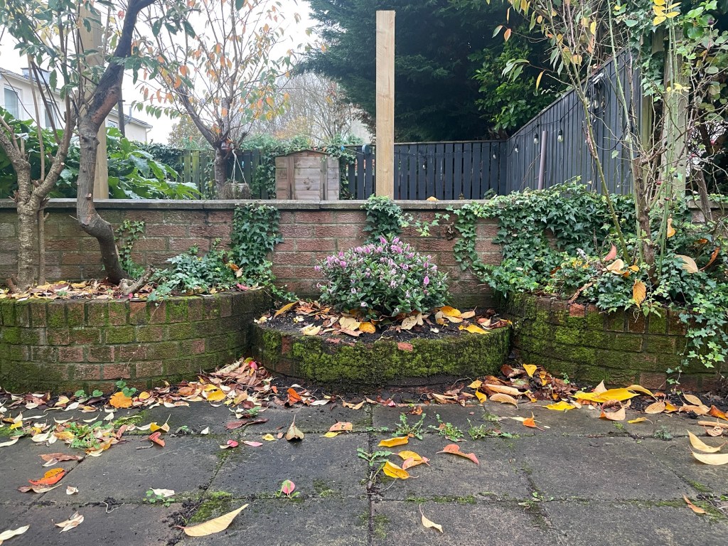 The Wreck on the Nicest&nbsp;Street