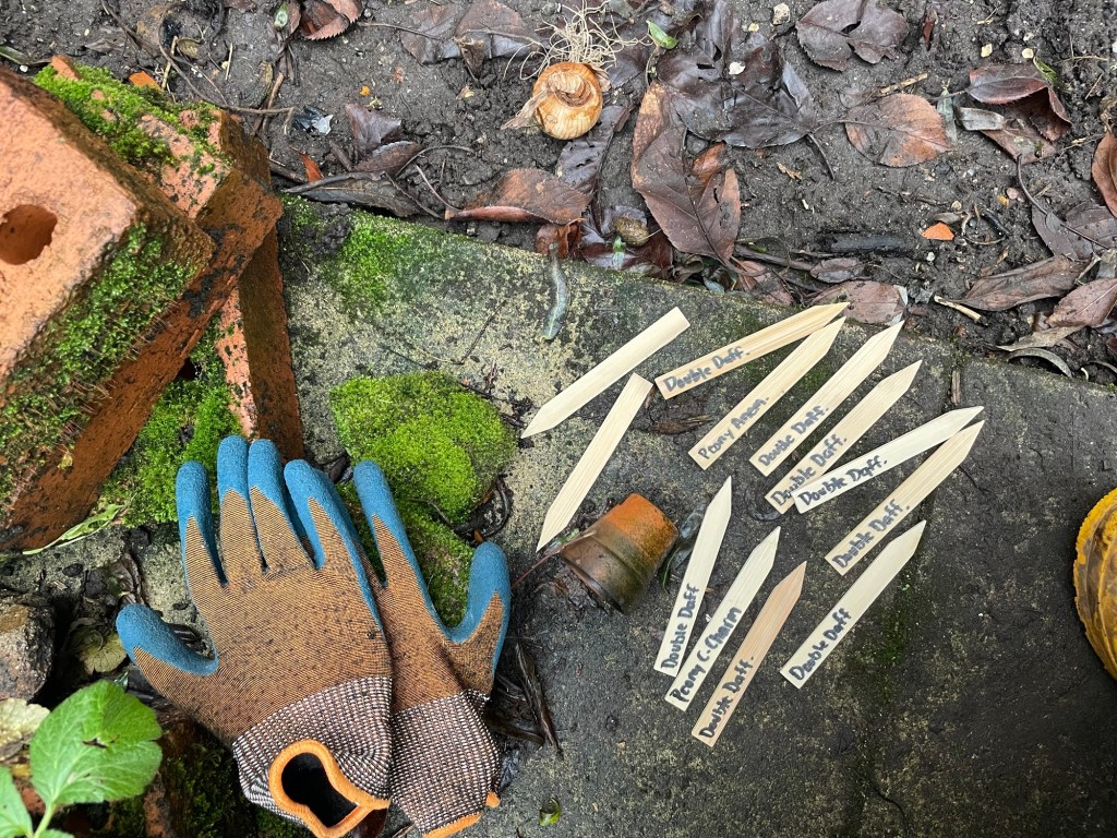 Bulbs Planted at&nbsp;Last!