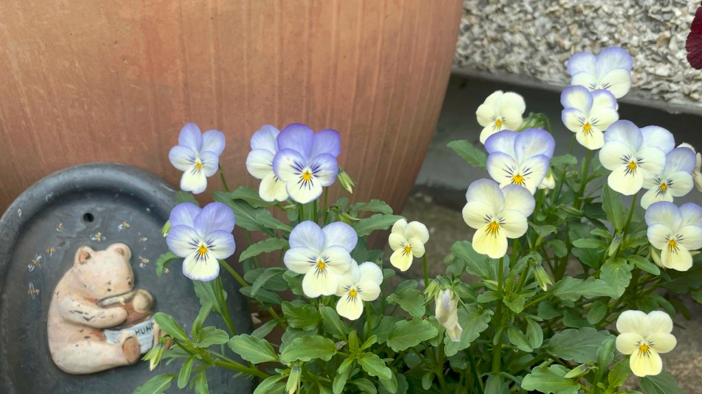 Summer Progress in the Front&nbsp;Garden