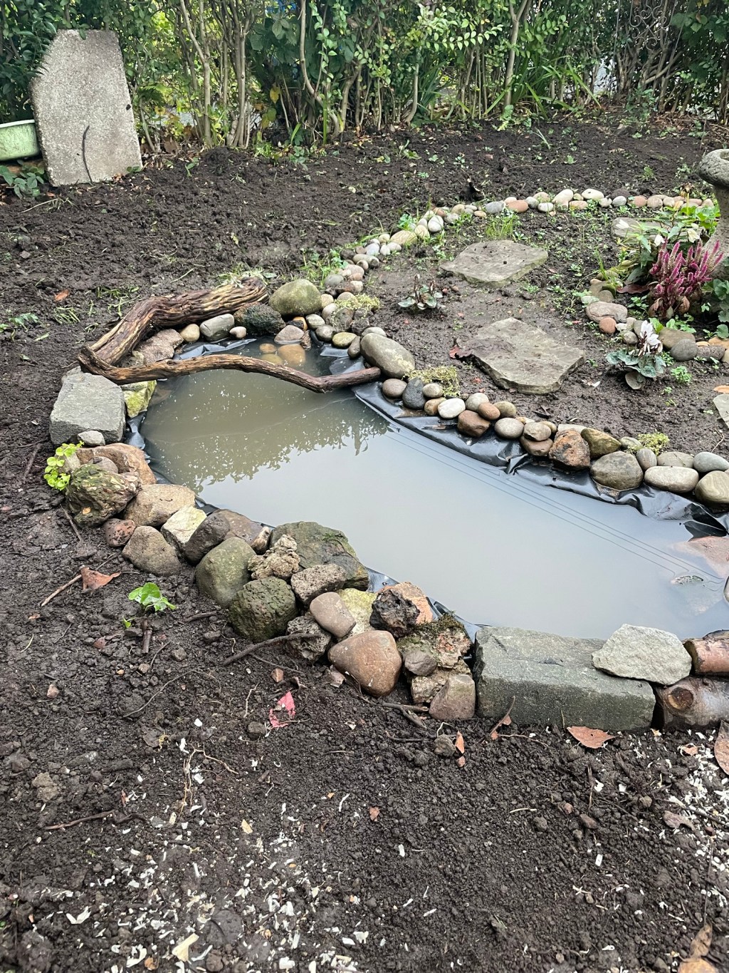 The Gang Builds A&nbsp;Pond