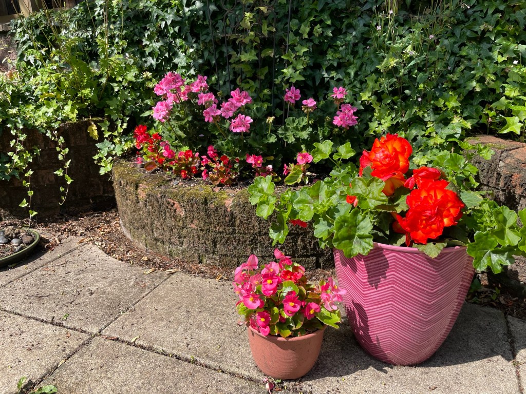The Second Flush of the&nbsp;Summer