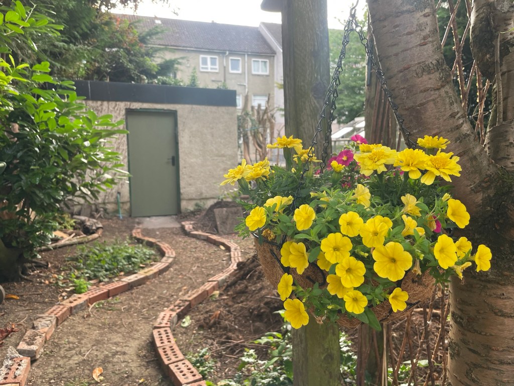 Back Garden Transformation (Part 2 of one thousand&nbsp;probably)